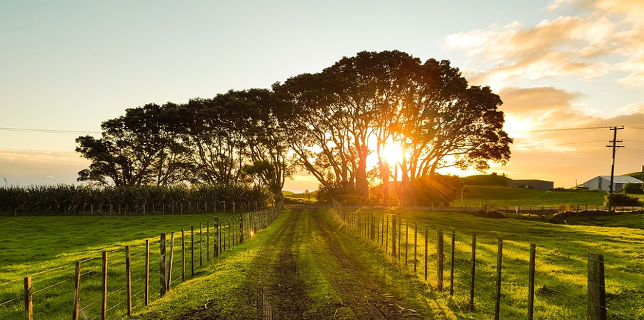 Can farms utilise renewable energy to become more efficient?